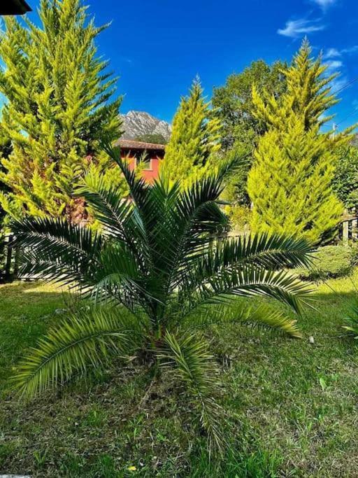 La Coqueta Del Sueve Βίλα Arriondas Εξωτερικό φωτογραφία