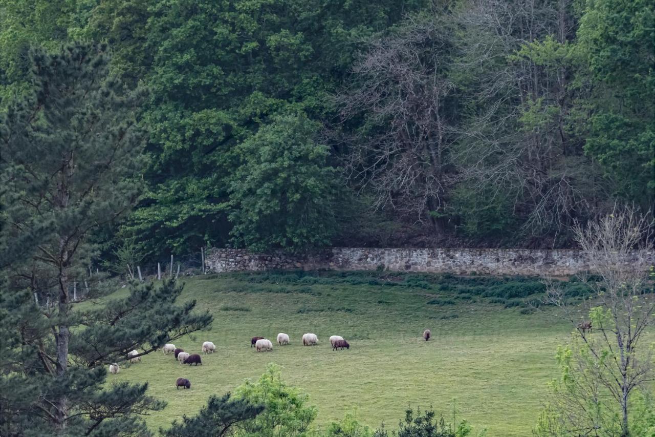 La Coqueta Del Sueve Βίλα Arriondas Εξωτερικό φωτογραφία