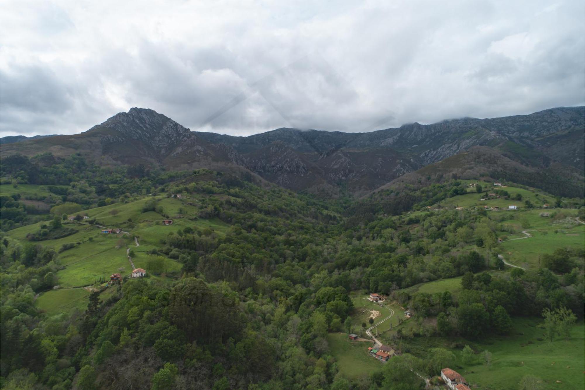 La Coqueta Del Sueve Βίλα Arriondas Εξωτερικό φωτογραφία